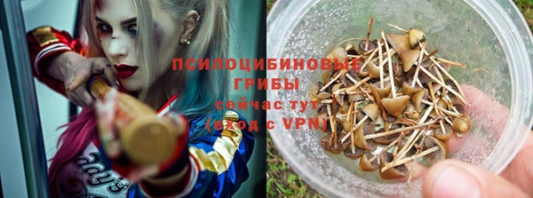 Альфа ПВП Каменск-Шахтинский