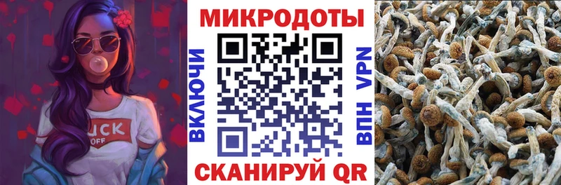 Купить где  Верхотурье  Галлюциногенные грибы мицелий 